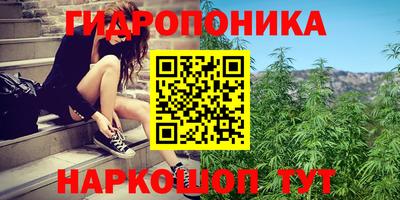 МДПВ Кинель